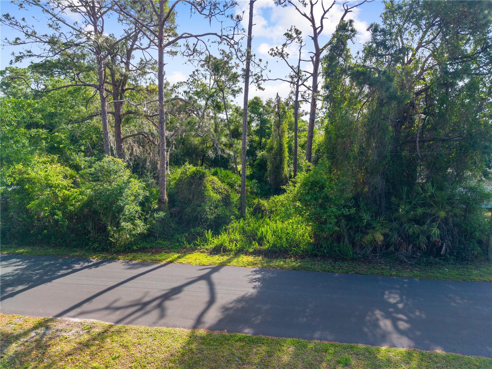 Burton Dr Property Photo 4