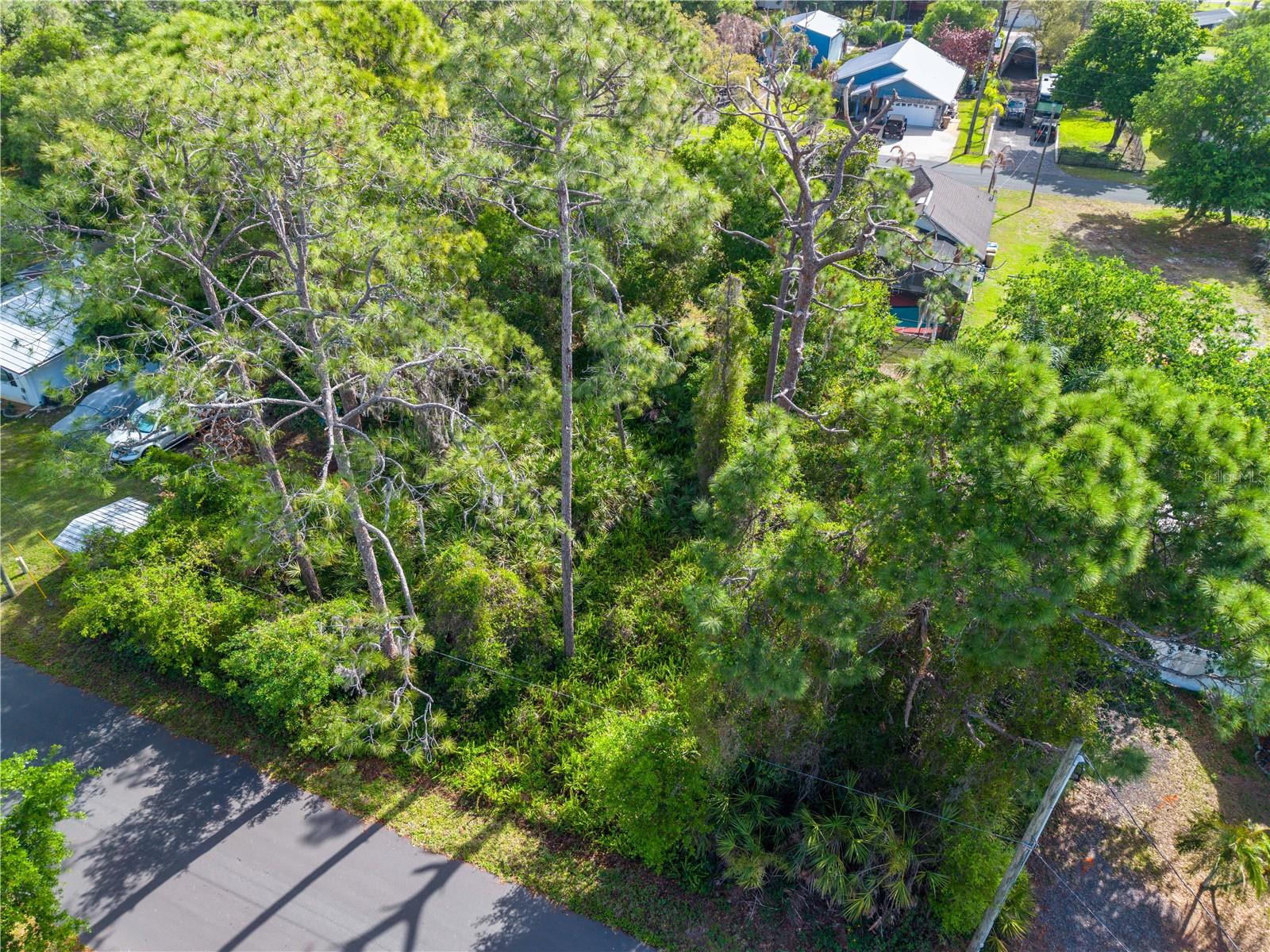 Burton Dr Property Photo 11