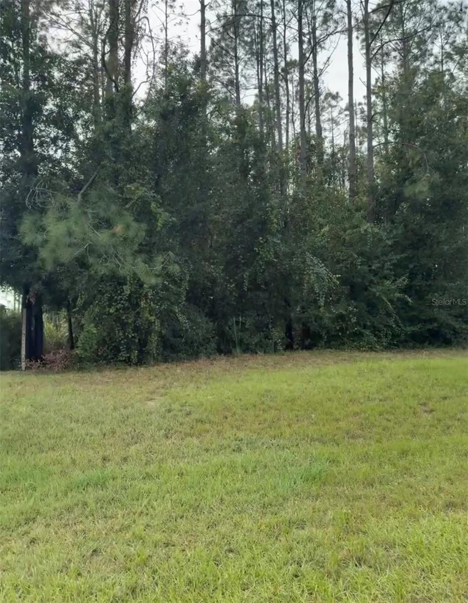 LAKE SMITH RD Property Photo 1