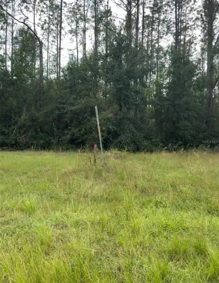 Lake Smith Rd Property Photo 3