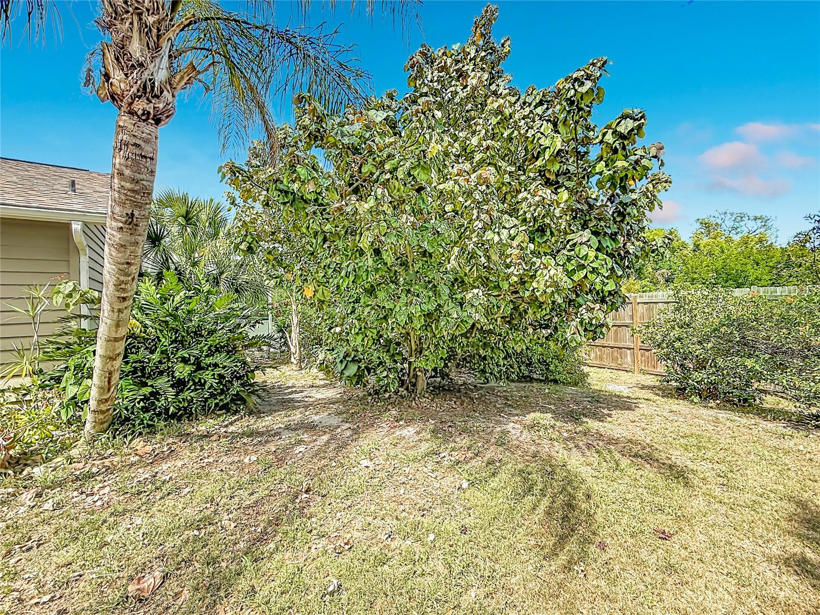 601 E Seminole Dr Property Photo 46