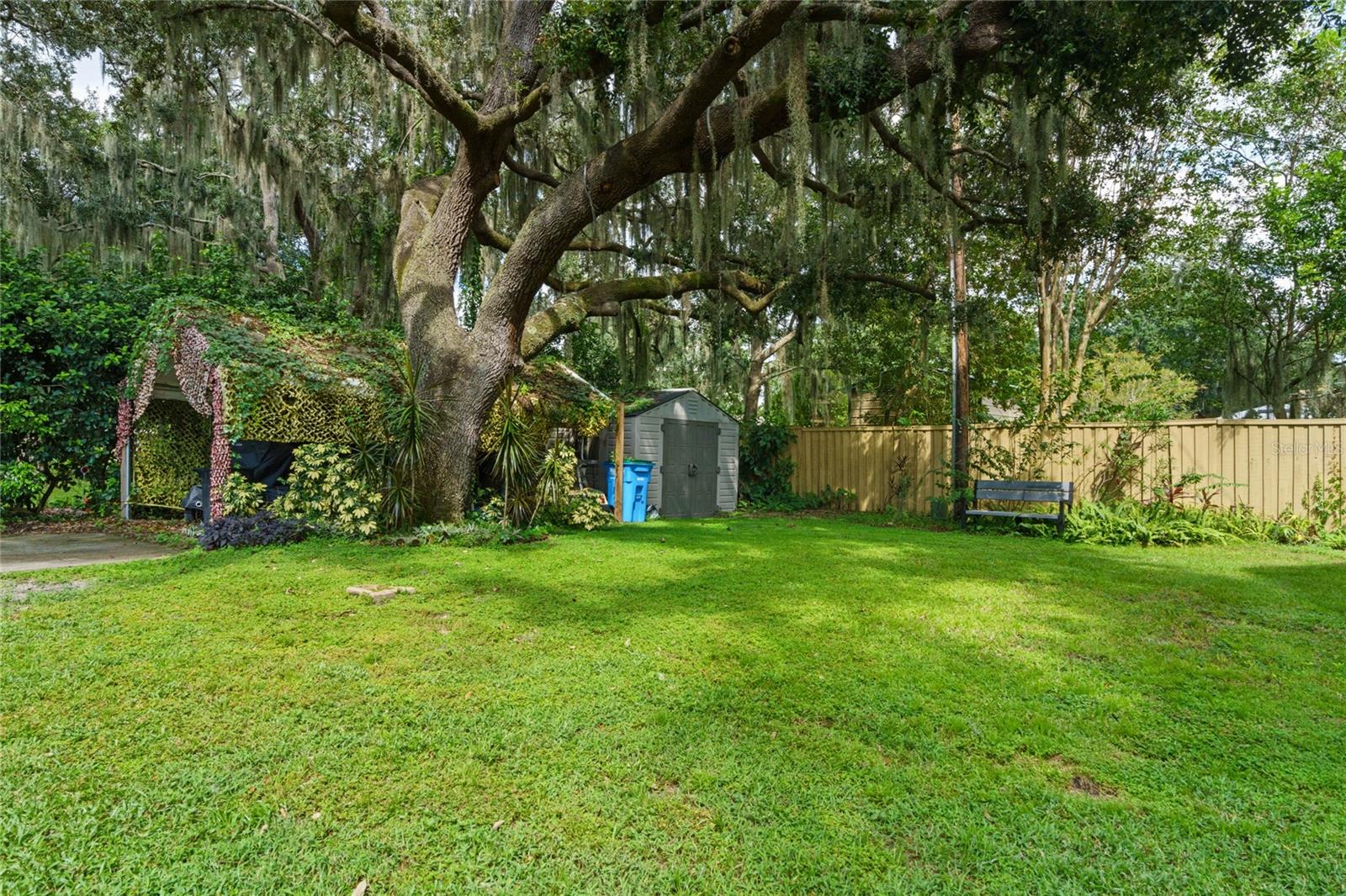 715 Magnolia St Property Photo 36