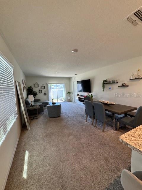 414 Cool Summer Ln Property Photo 9