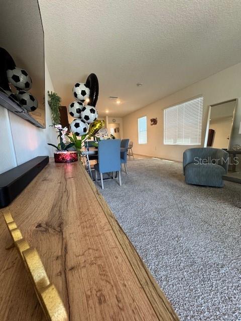 414 Cool Summer Ln Property Photo 23