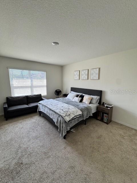 414 Cool Summer Ln Property Photo 41