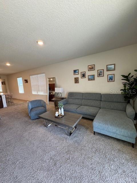 414 Cool Summer Ln Property Photo 49