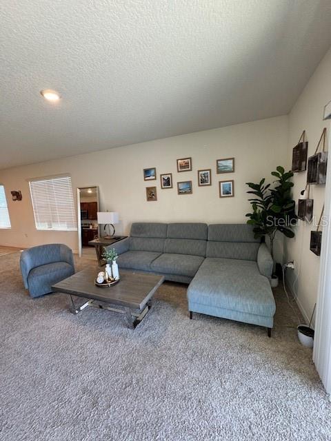 414 Cool Summer Ln Property Photo 50