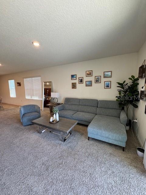 414 Cool Summer Ln Property Photo 51