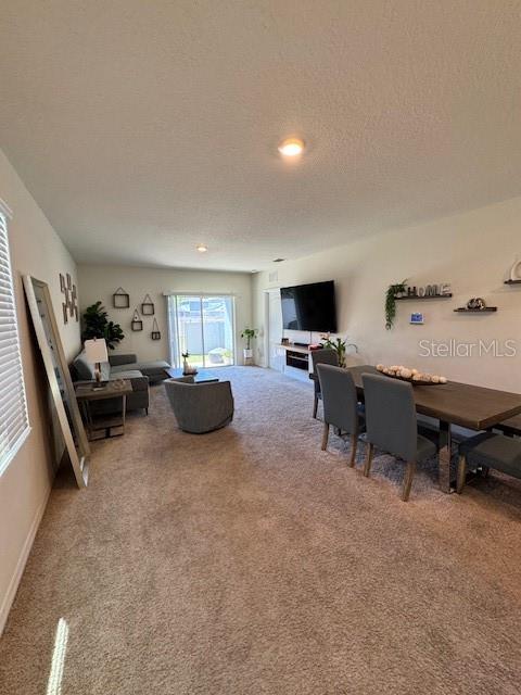 414 Cool Summer Ln Property Photo 52