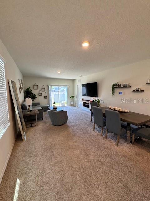414 Cool Summer Ln Property Photo 53
