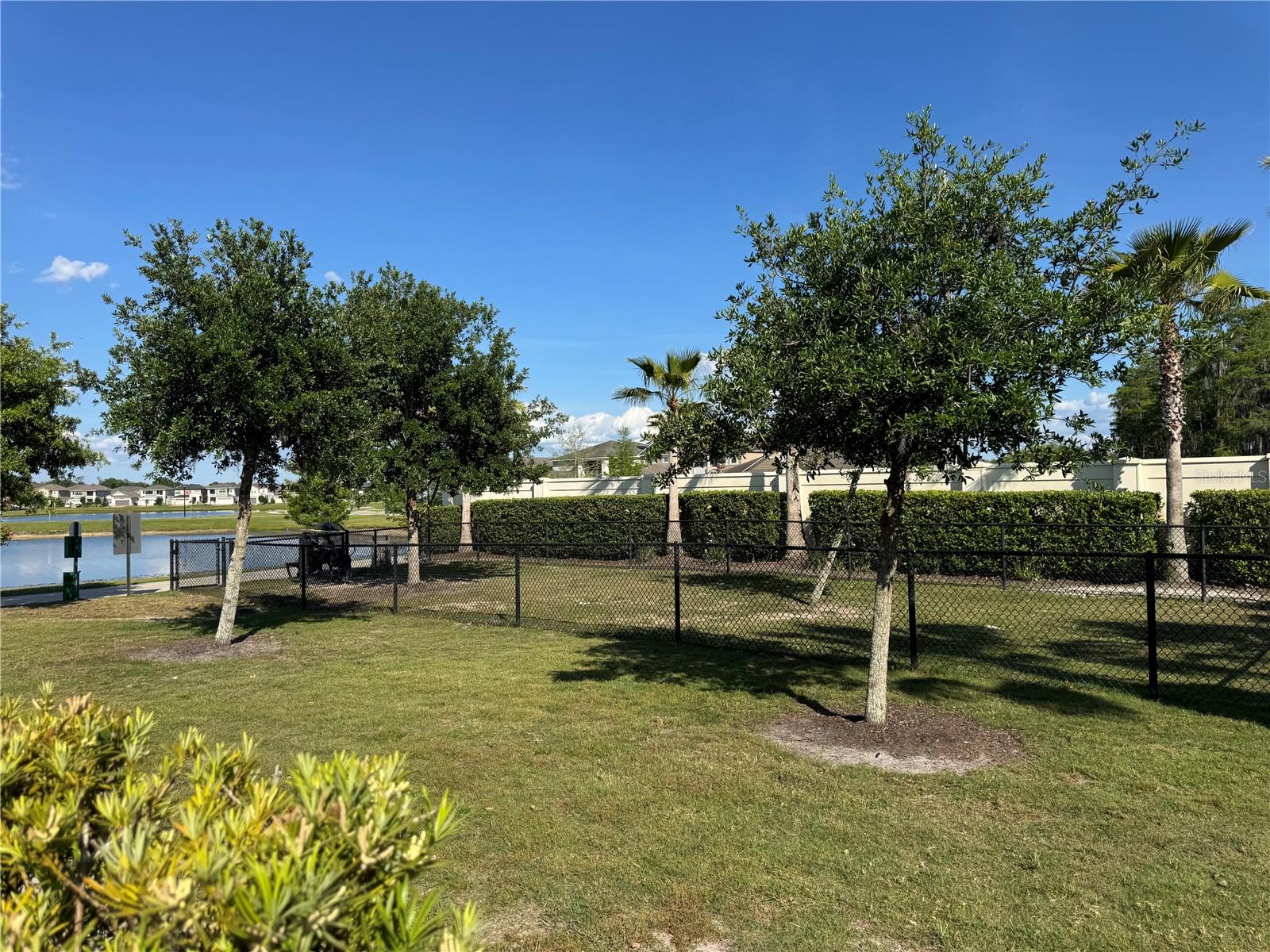 2891 Avian Loop Property Photo 48