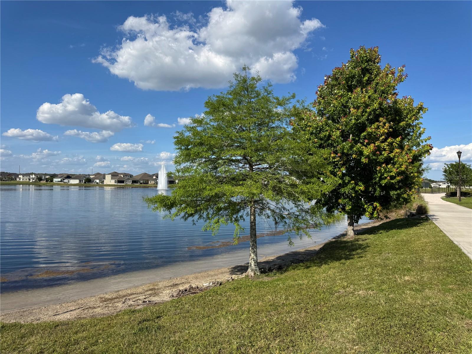 2891 Avian Loop Property Photo 49