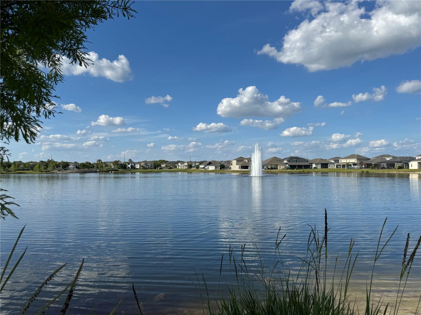 2891 Avian Loop Property Photo 50