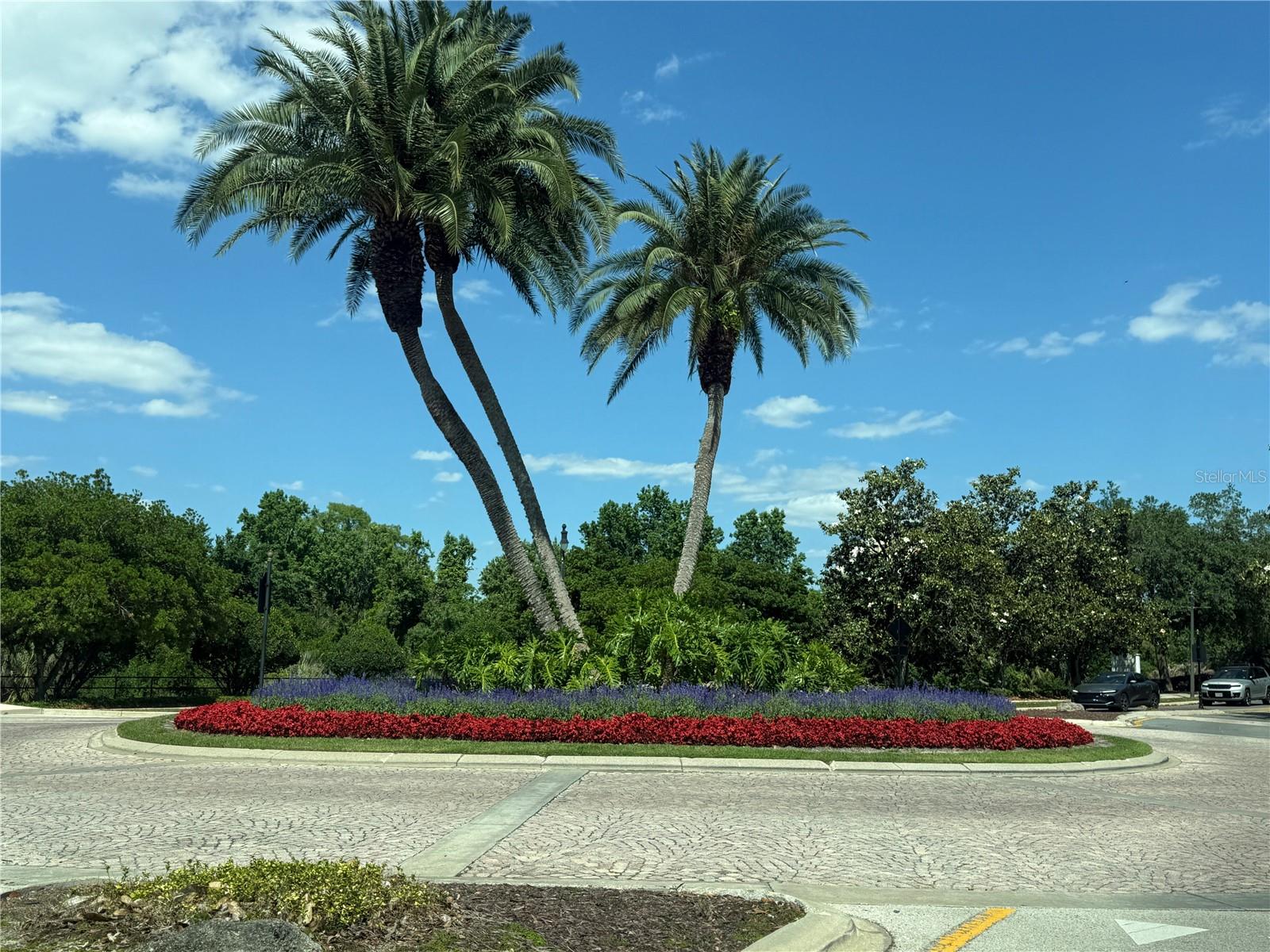 1100 Sunset View Cir S #304 Property Photo 39