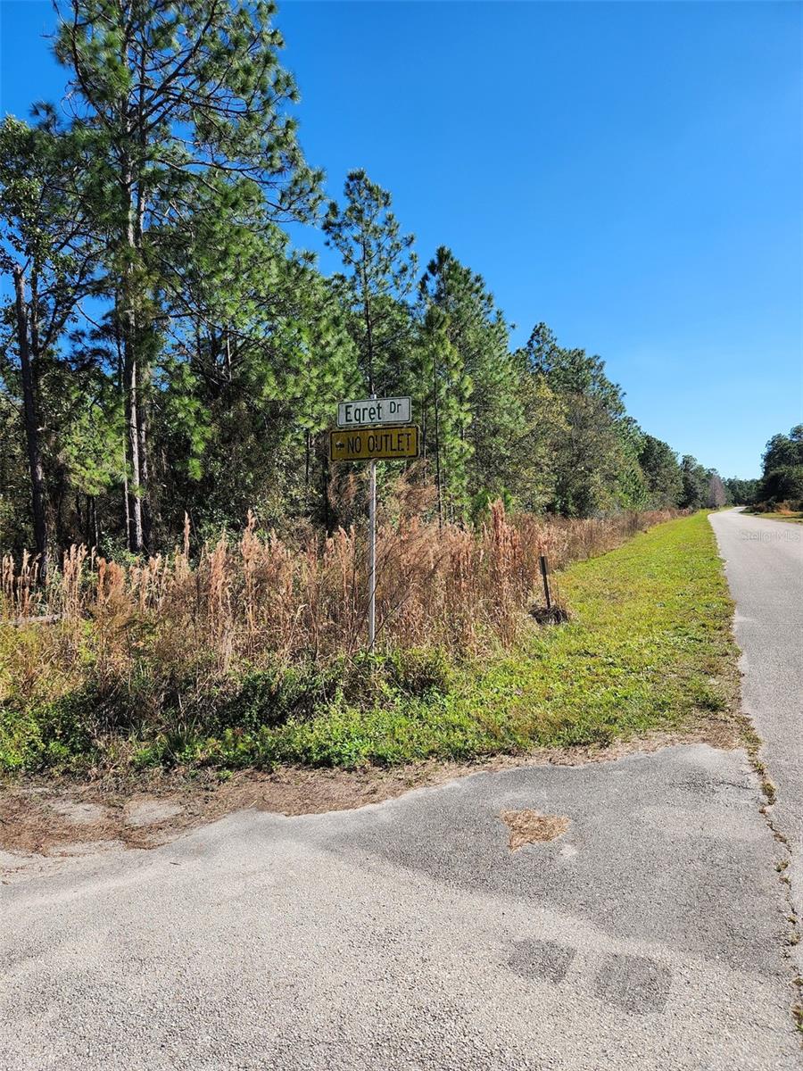 Egret Dr Property Photo 5