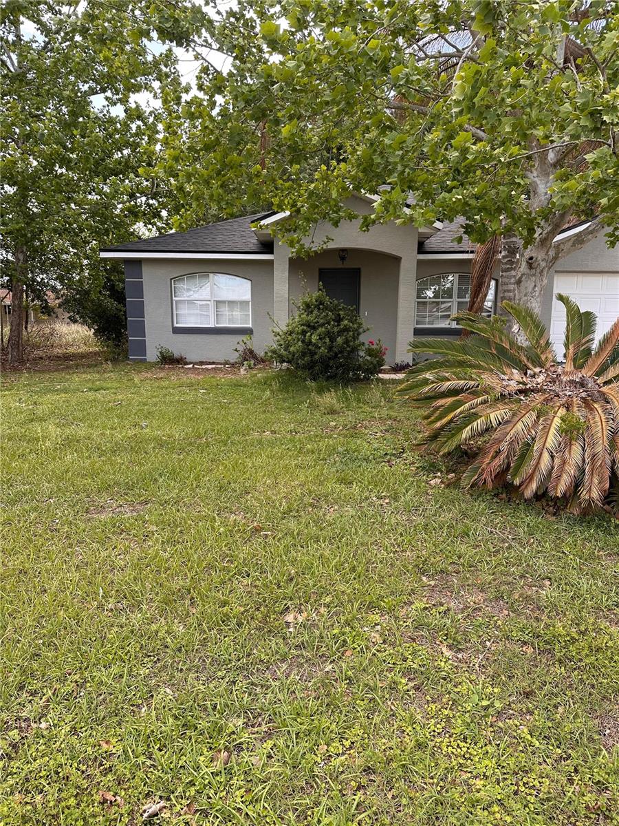 40 Willow Run Property Photo 54