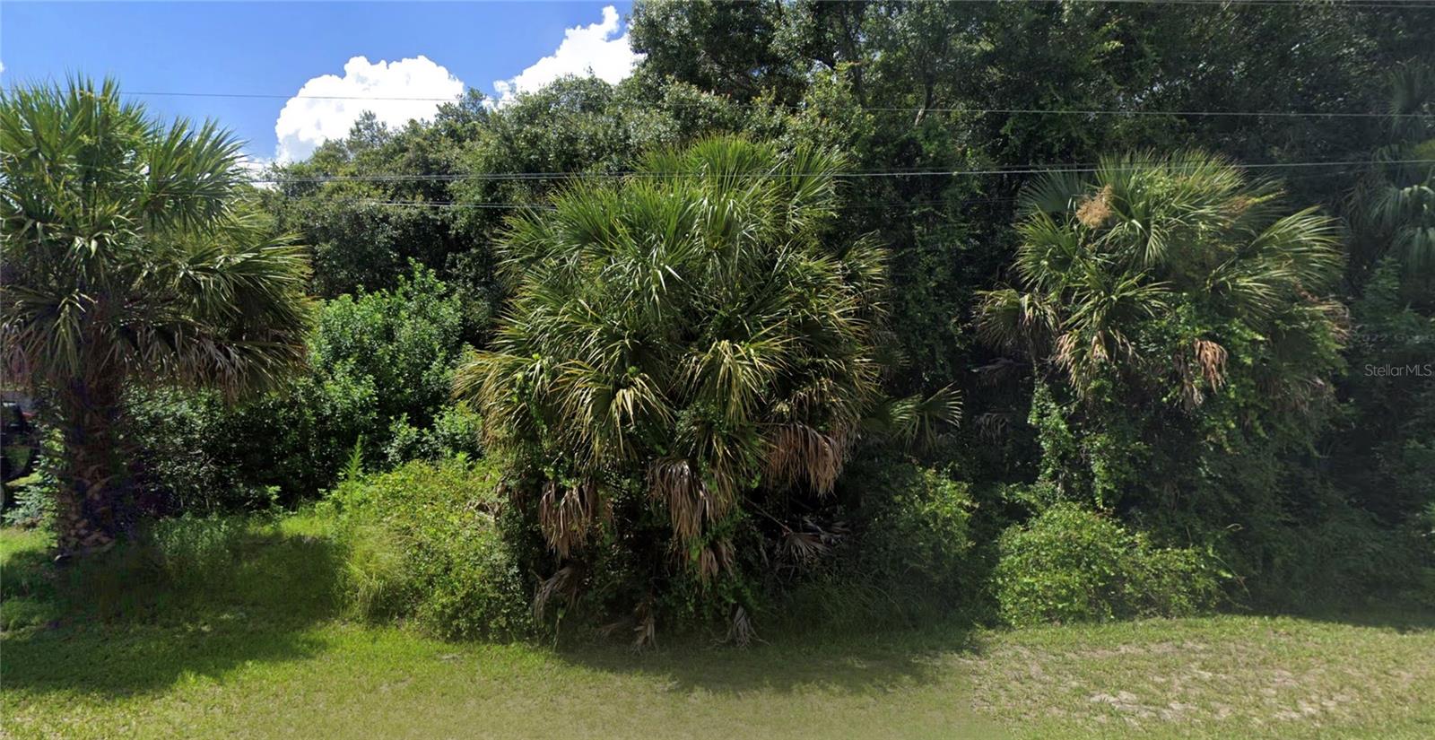 5619 Carso Property Photo 1