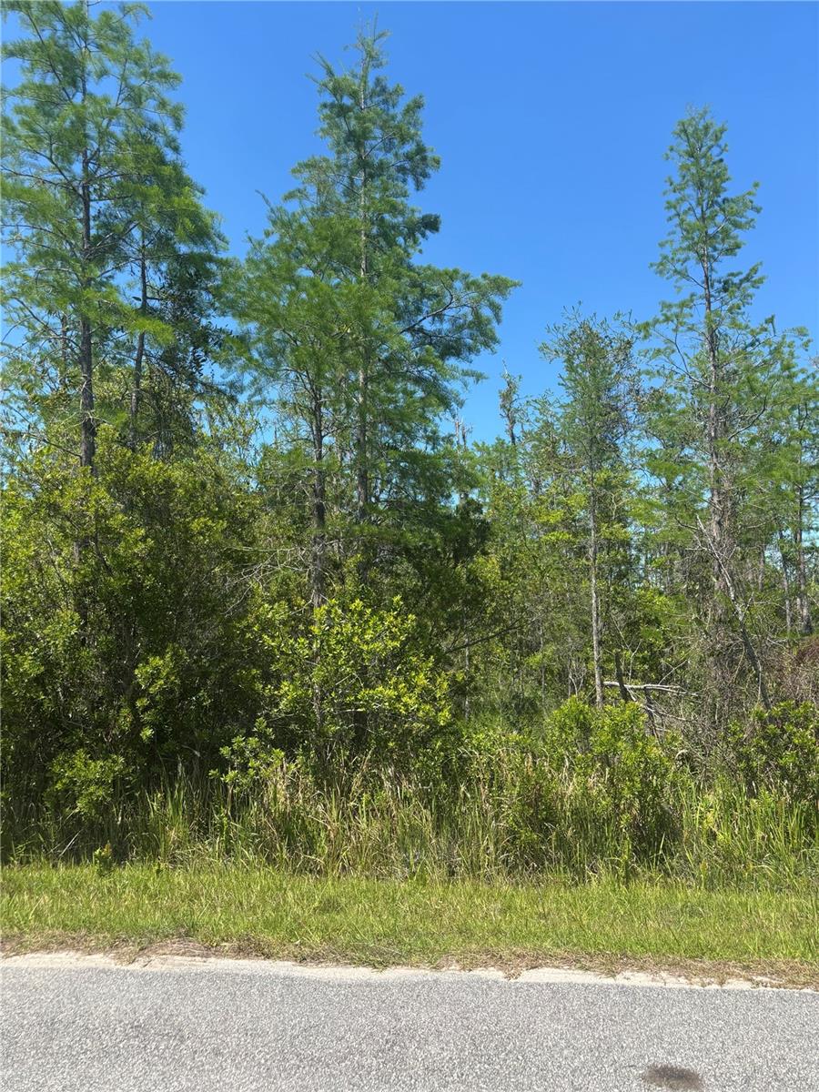ATLAS DR Property Photo 1