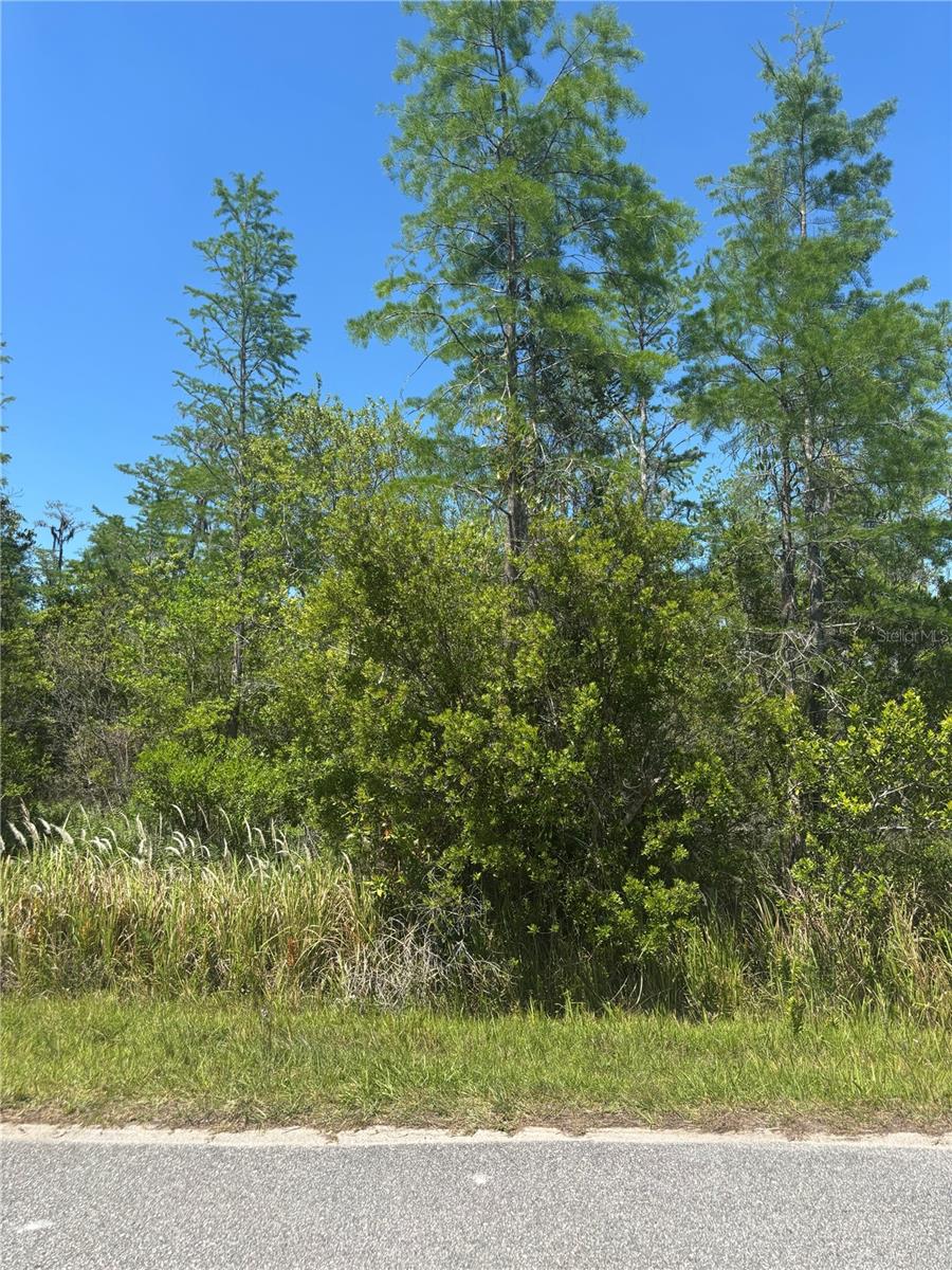 Atlas Dr Property Photo 2