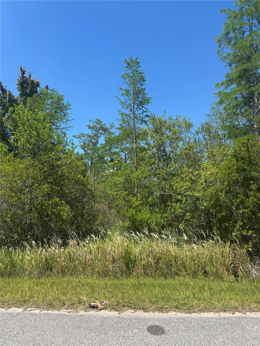 Atlas Dr Property Photo 3
