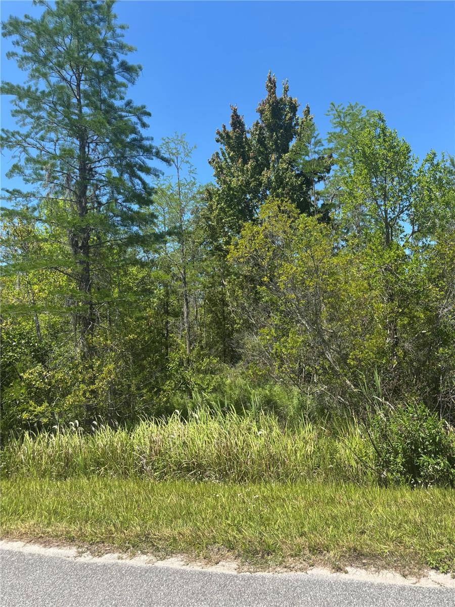 Atlas Dr Property Photo 4
