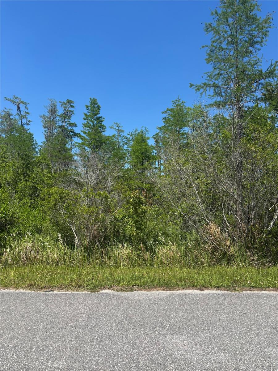 Atlas Dr Property Photo 5