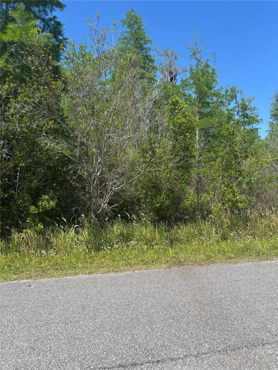 Atlas Dr Property Photo 6