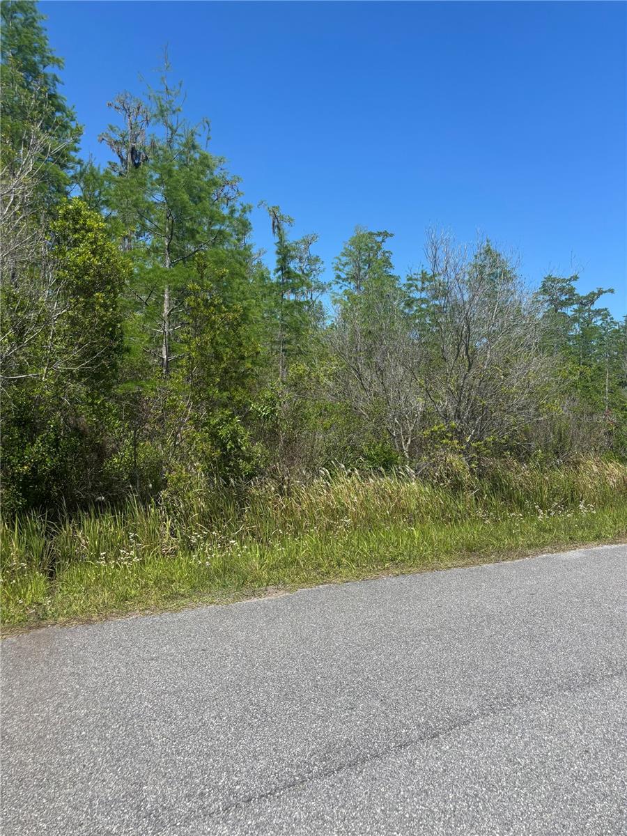 Atlas Dr Property Photo 7