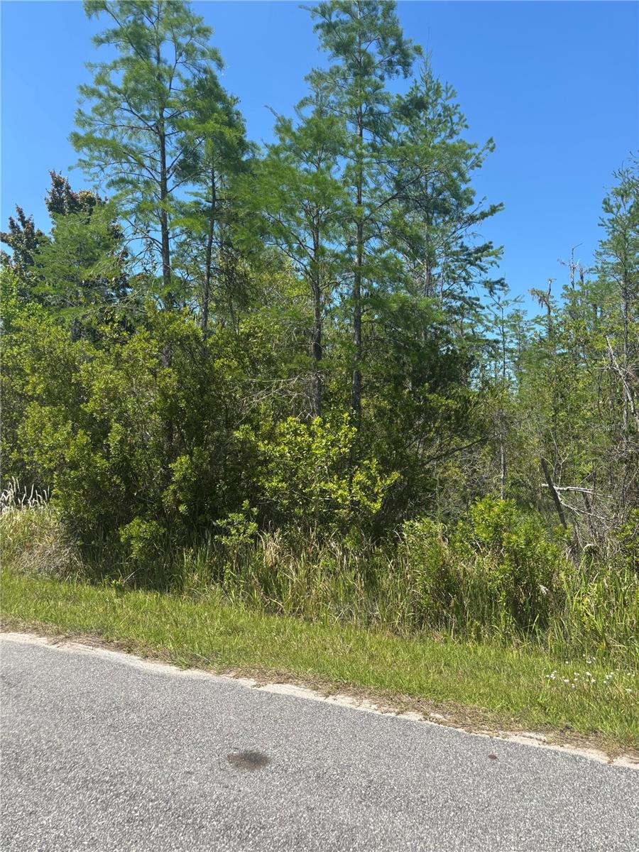 Atlas Dr Property Photo 10
