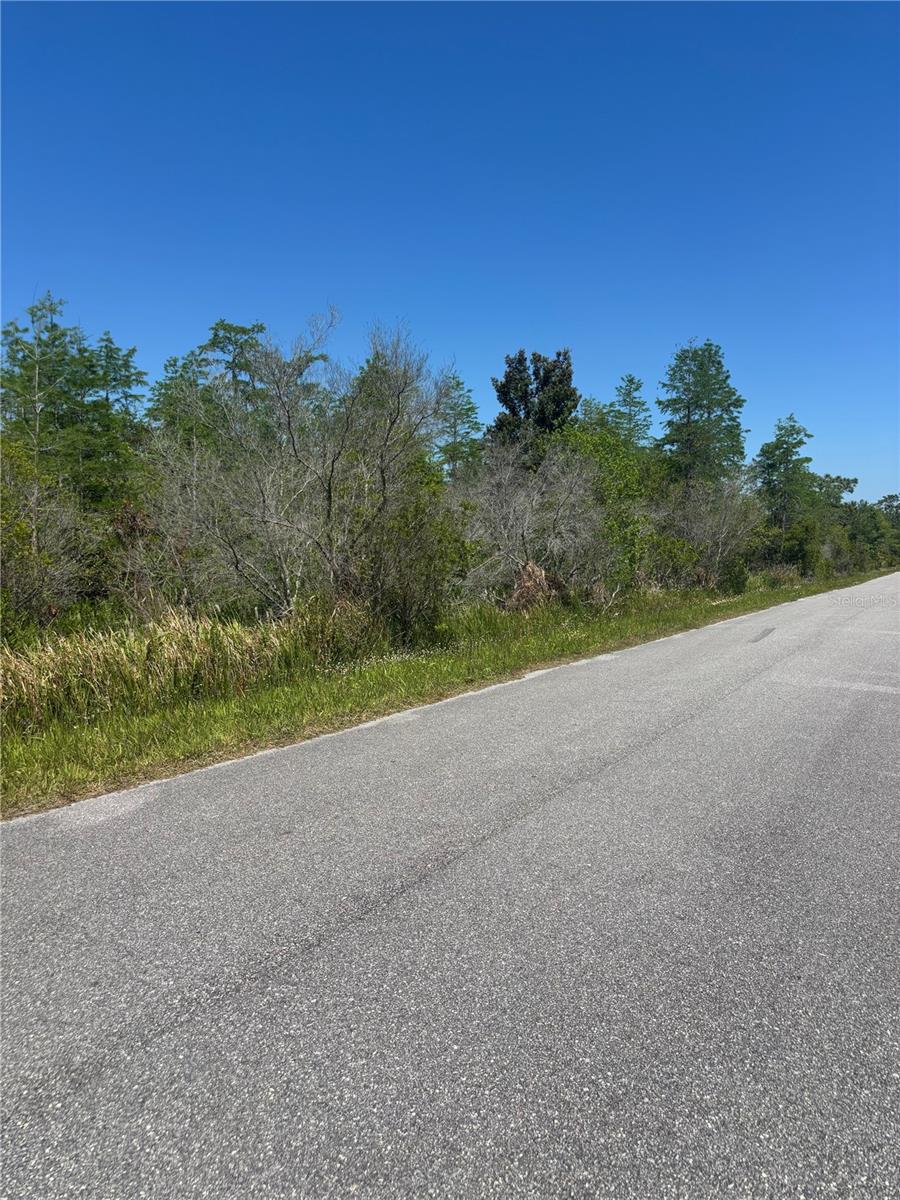 Atlas Dr Property Photo 11