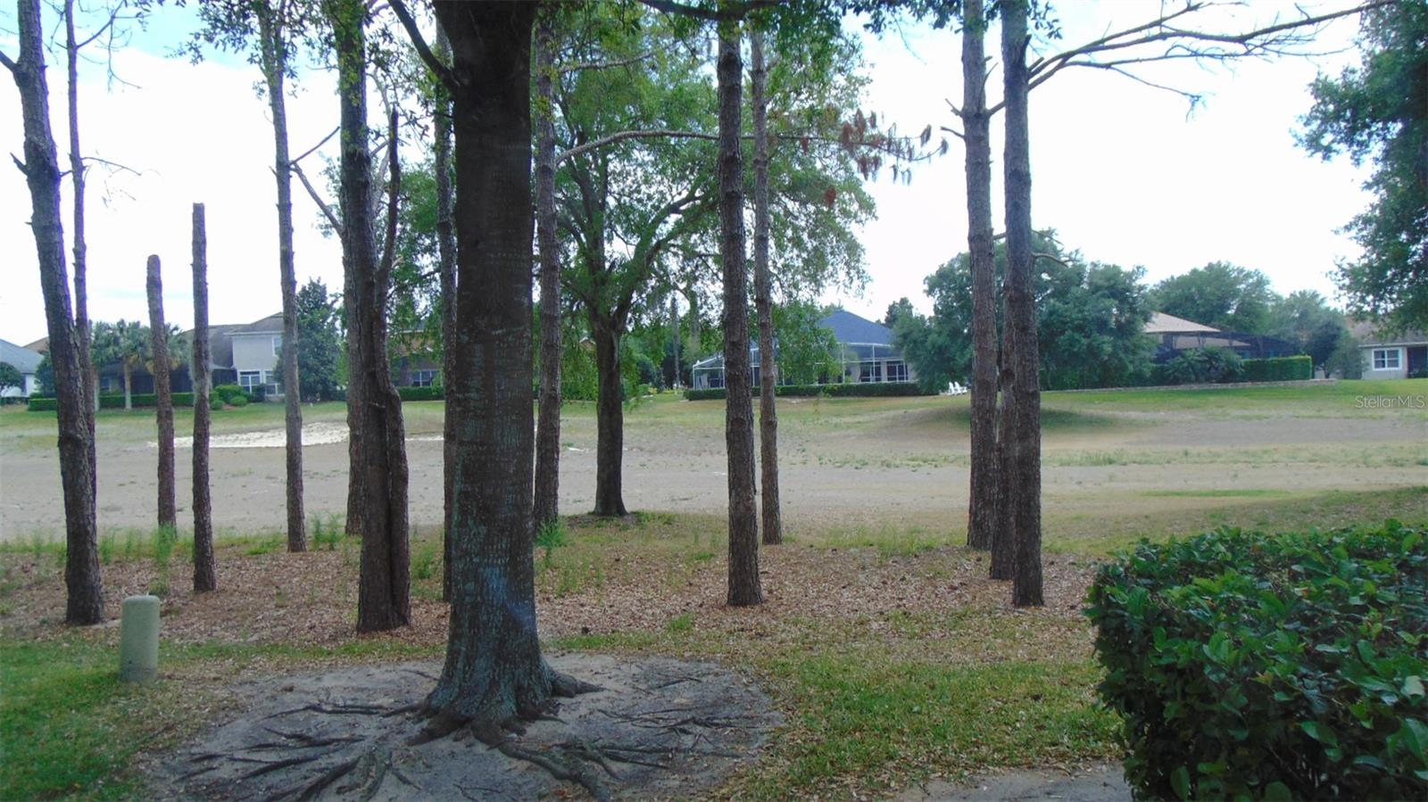 3807 Beacon Ridge Way Property Photo 2
