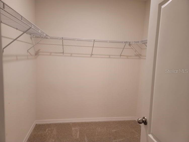 376 Tanglewood Dr Property Photo 23