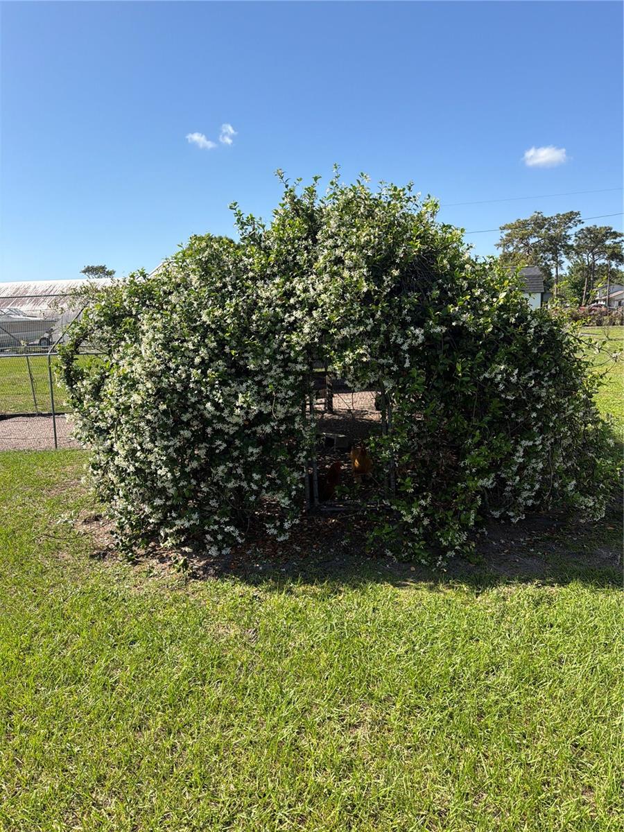 4245 Henry J Ave Property Photo 25