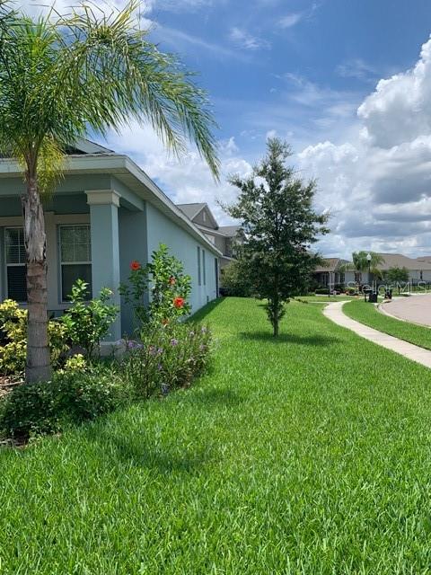 14072 Gold Bridge Dr Property Photo 4