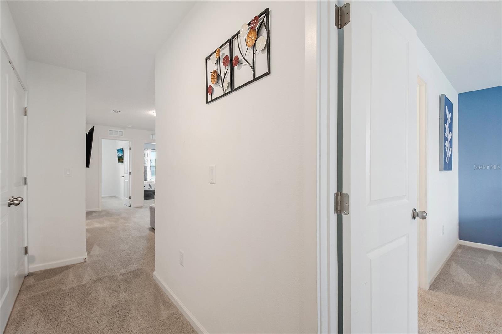 2309 Distant Sun Trl Property Photo 44