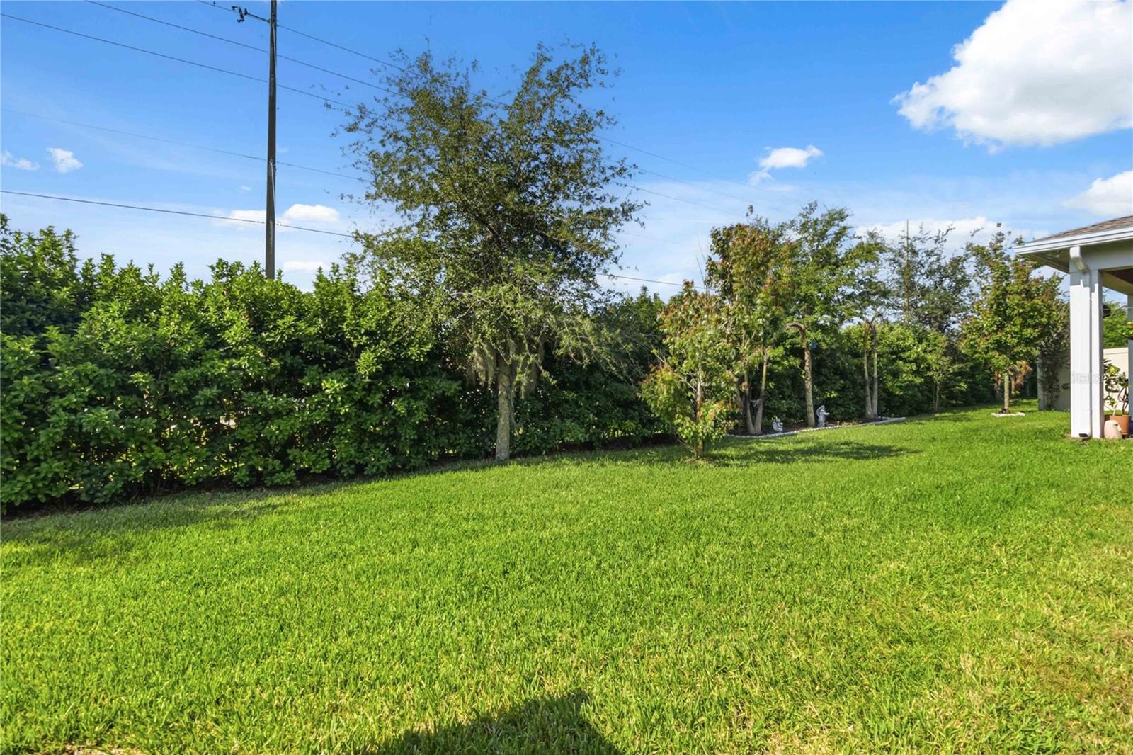 2305 Datura Loop Property Photo 41