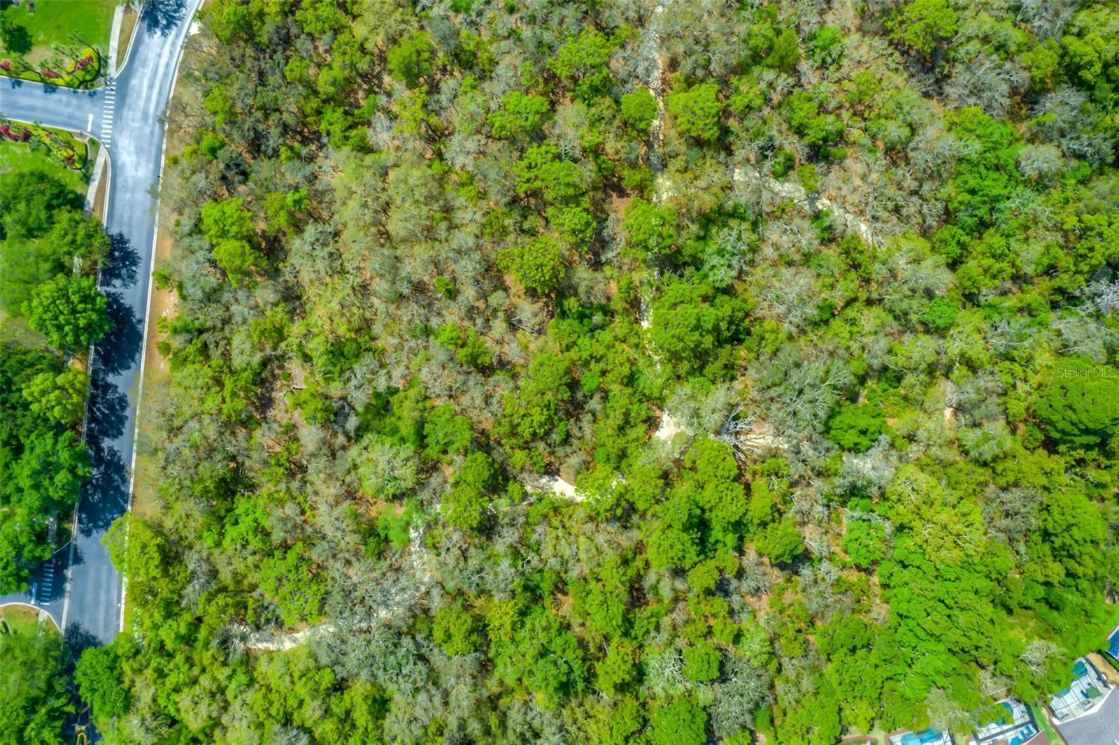 8550 Sunrise Key Dr Property Photo 58