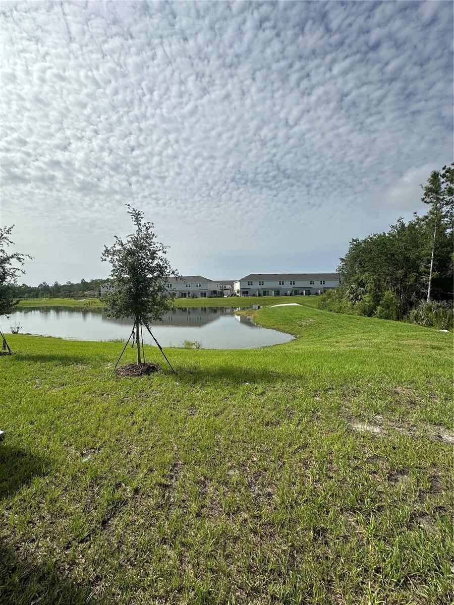 3137 Skyline Loop Property Photo 11