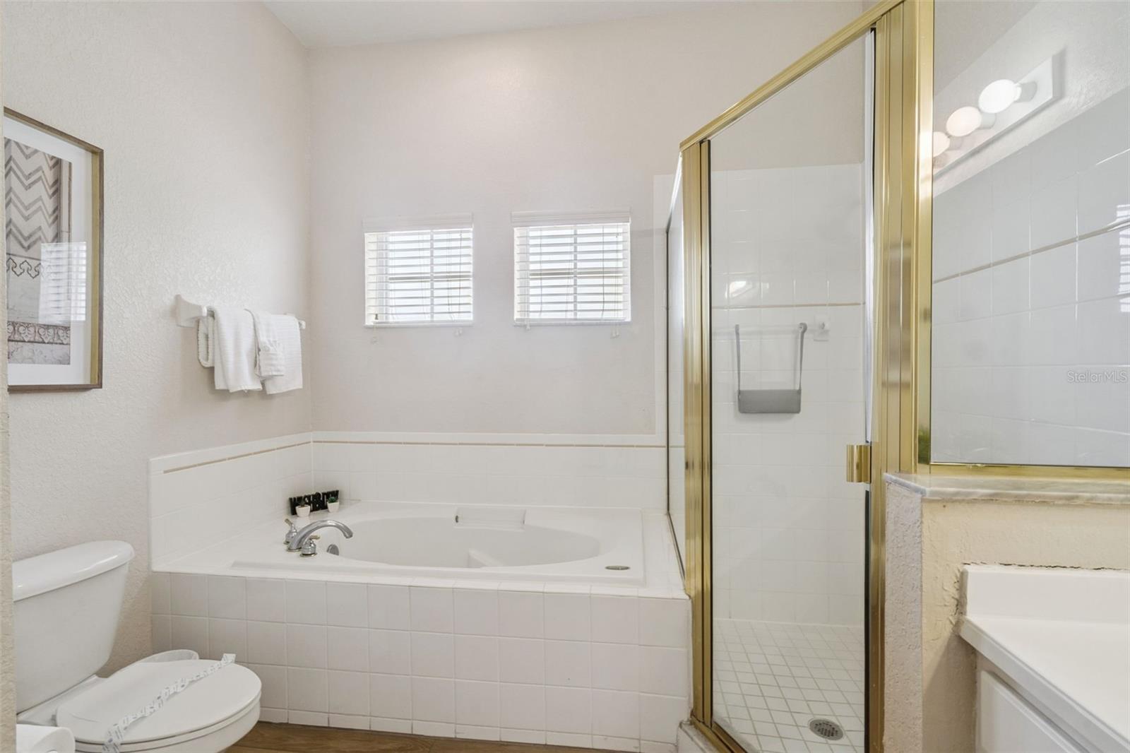 313 Lucaya Loop Property Photo 21
