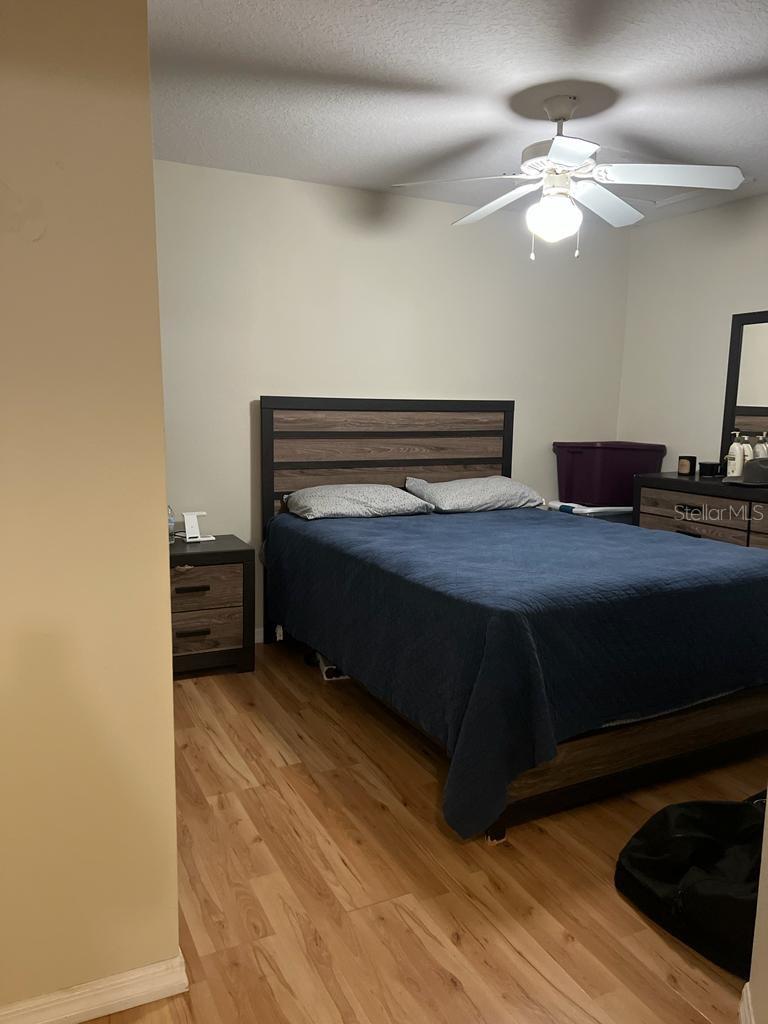 227 Orchid Dr Property Photo 17