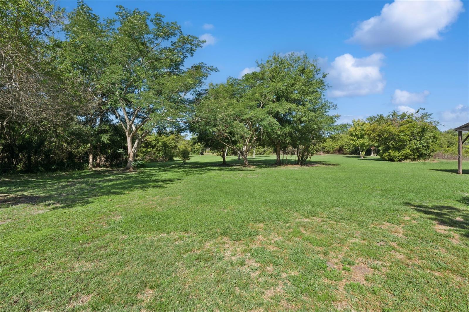 1235 Hackney Rd Property Photo 5
