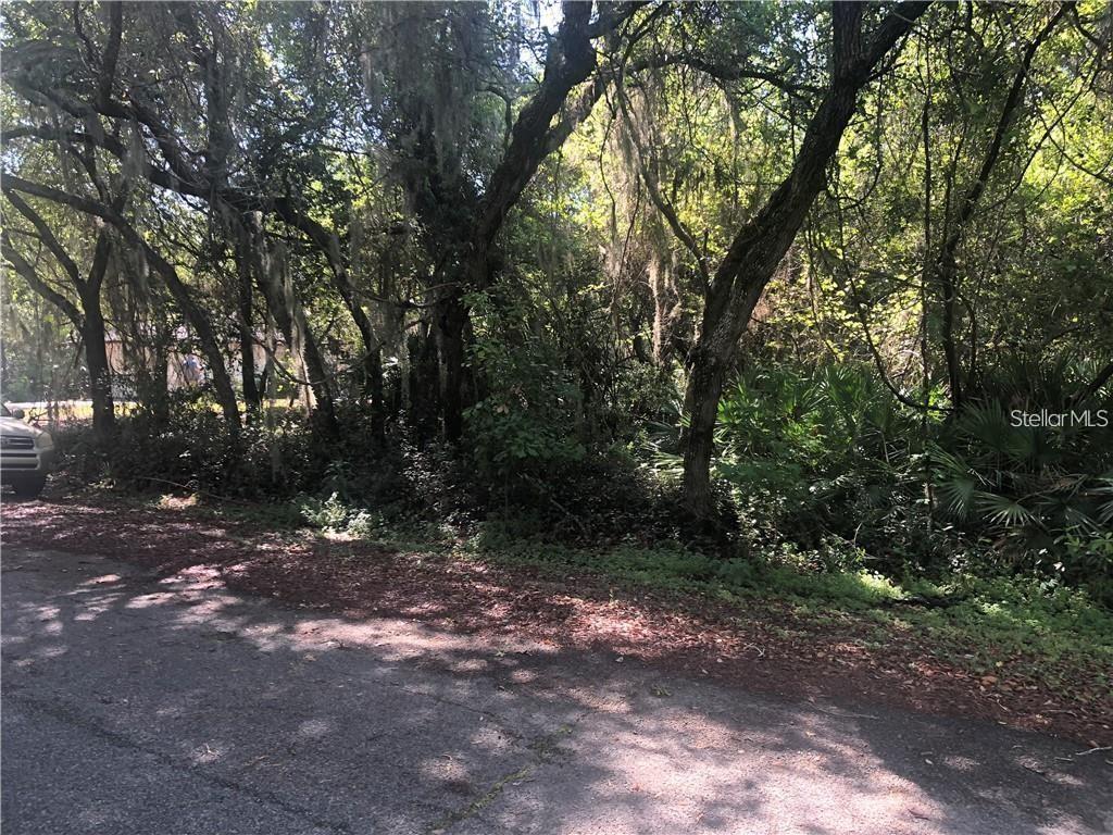 261 Toms Rd Property Photo 2