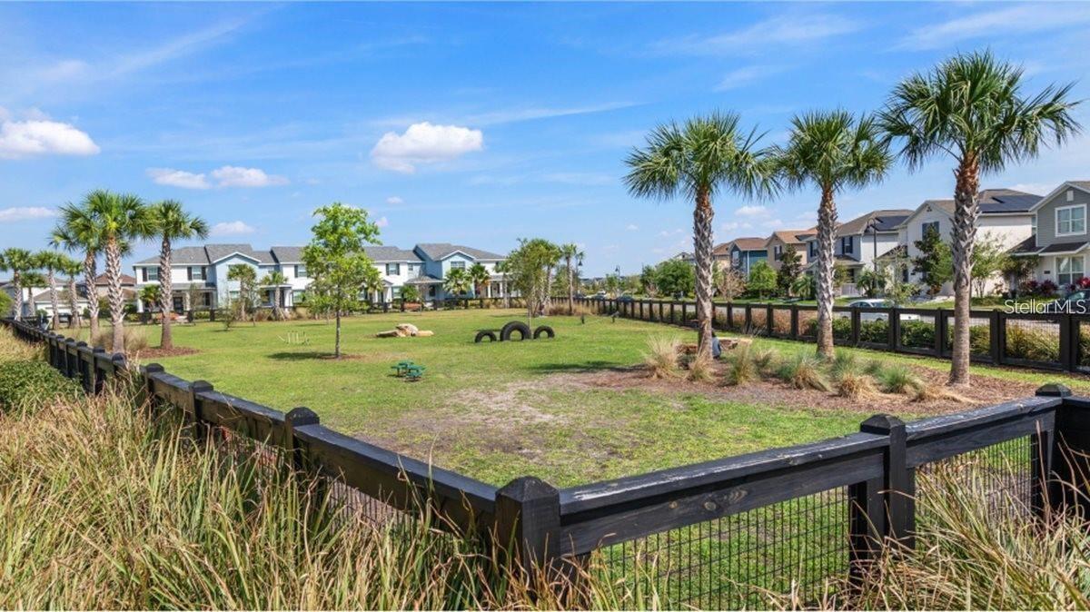 11620 Satire St Property Photo 25