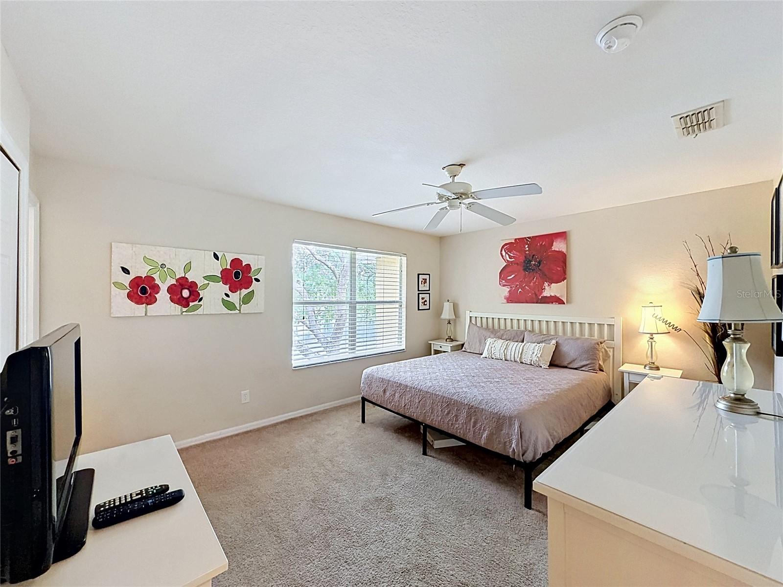 244 Capri Dr Property Photo 17