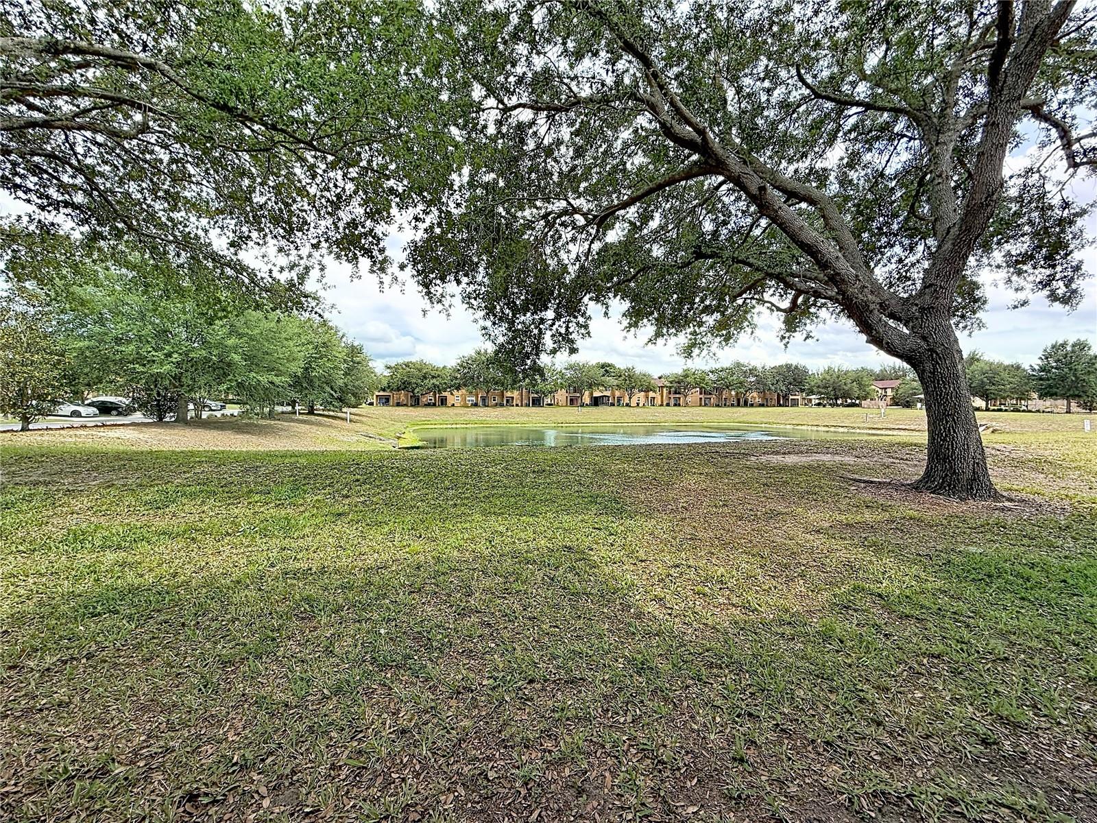 244 Capri Dr Property Photo 27