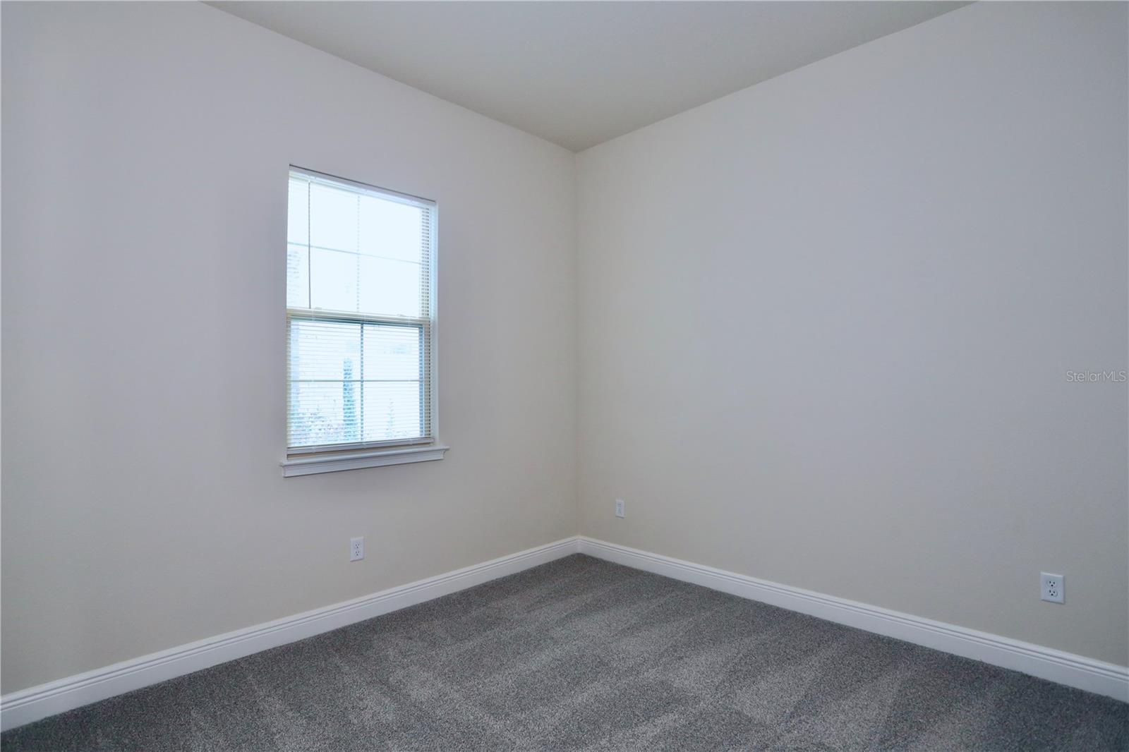 5174 Buttonsage Dr Property Photo 12