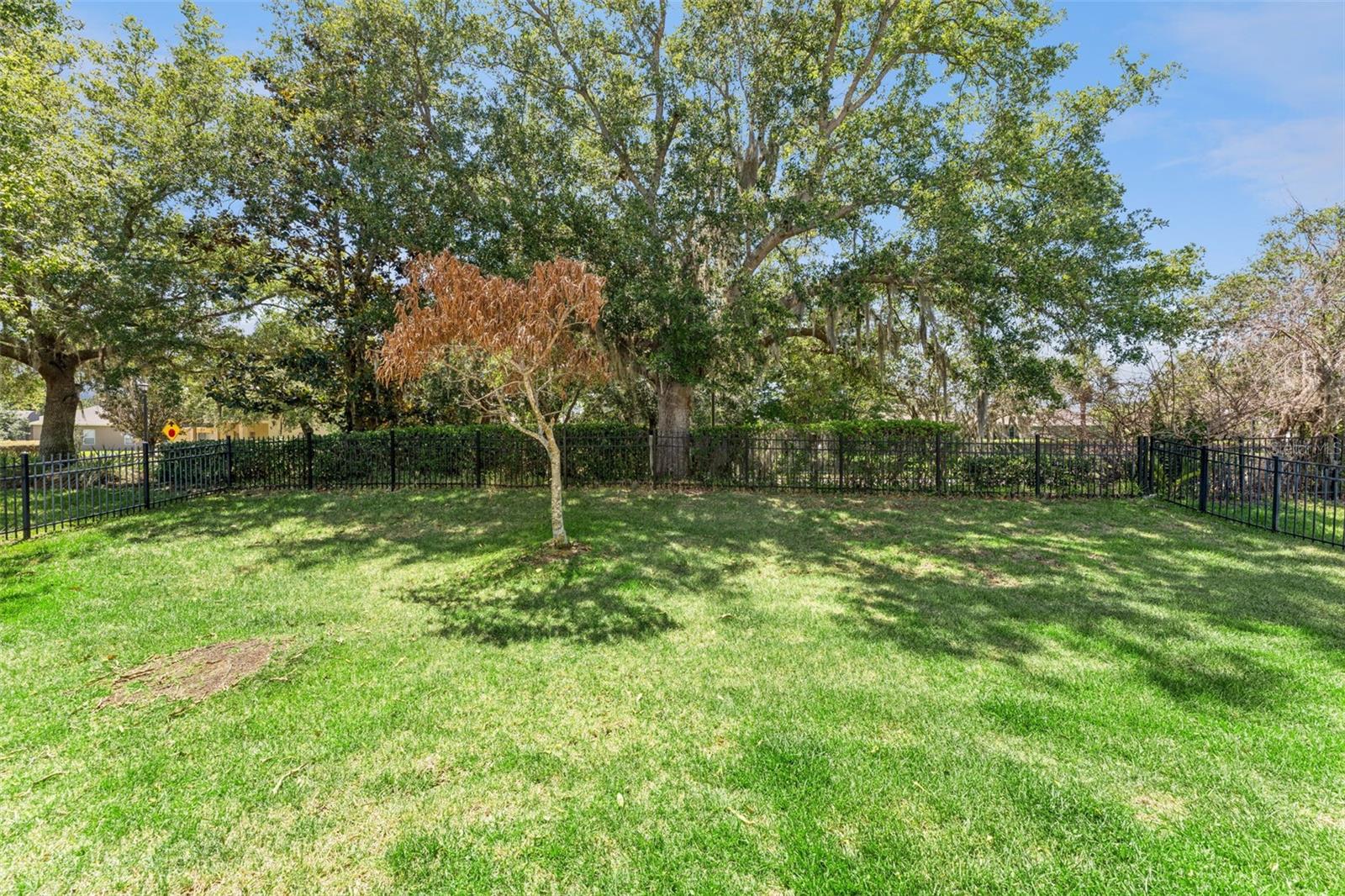 10125 Sandy Marsh Ln Property Photo 46