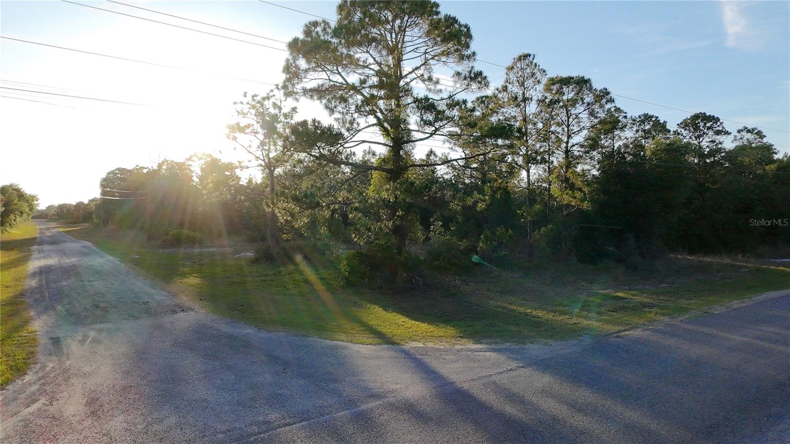 1002 Gardenia Dr Property Photo 2