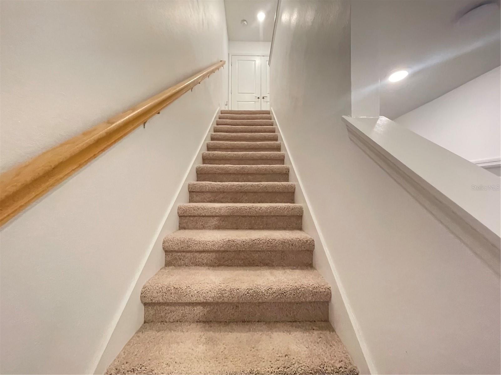 3575 Davenport Creek Ct Property Photo 13