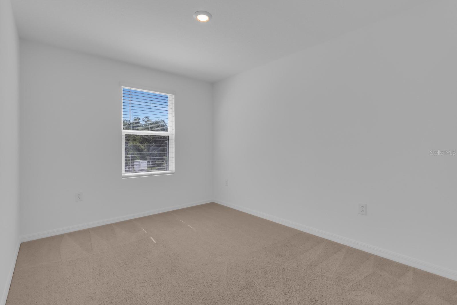 3010 Canary Ave Property Photo 26